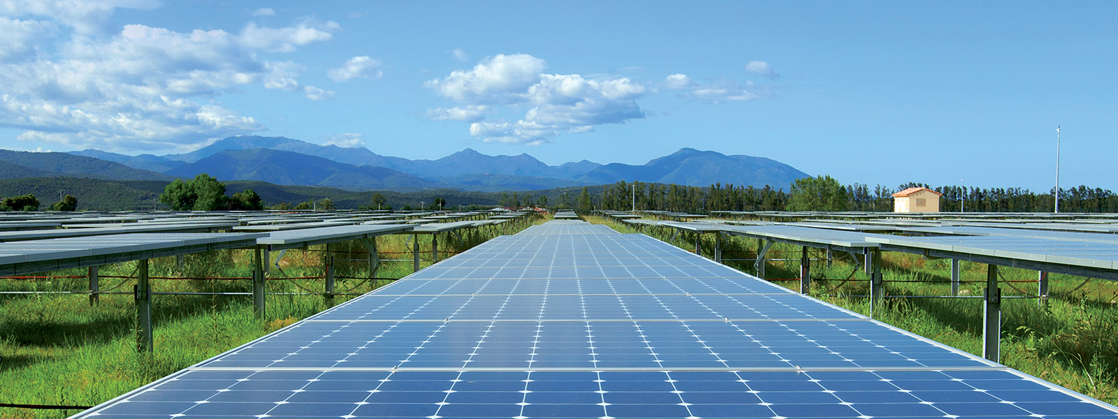 d&eacute;couvrez notre plateforme d&eacute;di&eacute;e aux appels d'offres pour les &eacute;nergies renouvelables. restez inform&eacute; des derni&egrave;res opportunit&eacute;s, acc&eacute;dez aux projets en cours et participez &agrave; la transition &eacute;nerg&eacute;tique. ne manquez pas votre chance de contribuer &agrave; un avenir durable.