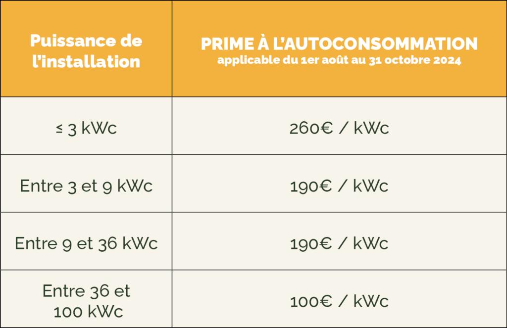 d&eacute;couvrez les perspectives de l'autoconsommation en 2025 : innovations, avantages environnementaux et &eacute;conomiques, et les meilleures pratiques pour optimiser votre consommation d'&eacute;nergie renouvelable &agrave; domicile.
