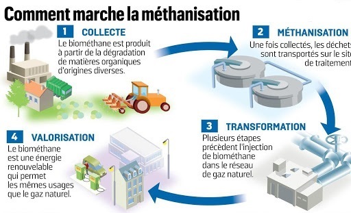 découvrez le biogaz, une source d'énergie renouvelable prometteuse qui transforme les déchets organiques en électricité et en chaleur. apprenez comment cette solution durable contribue à la transition énergétique et à la protection de l'environnement.