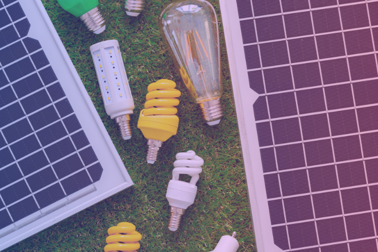 découvrez comment la france établit un nouveau record en matière d'électricité bas carbone en 2024. explorez les innovations et initiatives qui favorisent une transition énergétique durable et respectueuse de l'environnement.