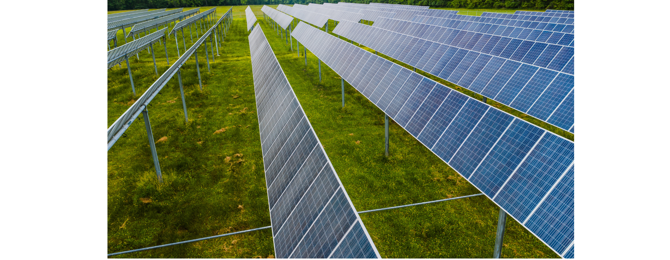 découvrez le marché ppa en france pour 2 gw de photovoltaïque : opportunités d'investissement, acteurs clés et tendances du secteur solaire. plongez dans l'avenir de l'énergie renouvelable et les solutions durables pour un environnement plus vert.