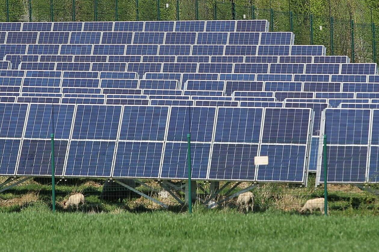 d&eacute;couvrez les raisons derri&egrave;re la protestation contre les subventions photovolta&iuml;ques, une mobilisation populaire qui soul&egrave;ve des d&eacute;bats sur l'avenir de l'&eacute;nergie renouvelable et les impacts socio-&eacute;conomiques de ces aides gouvernementales.