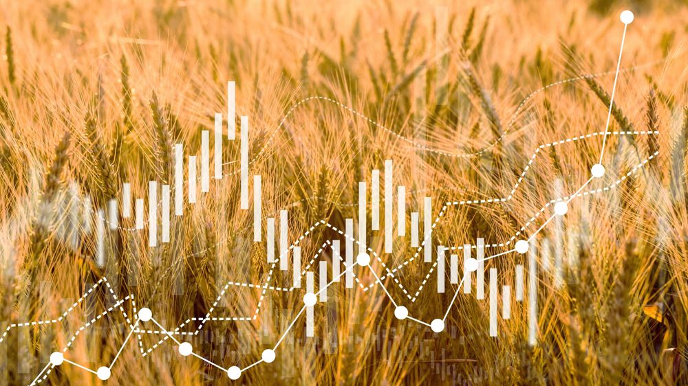 d&eacute;couvrez comment notre entreprise a r&eacute;ussi &agrave; r&eacute;colter 25 millions d'euros pour soutenir son expansion. un projet ambitieux qui vise &agrave; renforcer notre position sur le march&eacute; et &agrave; favoriser l'innovation. suivez notre aventure et restez inform&eacute; de nos prochains enjeux !