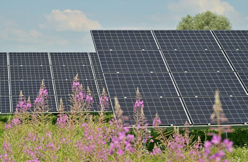 découvrez comment optimiser la rentabilité de votre projet photovoltaïque grâce à des stratégies efficaces et des conseils d'experts. informez-vous sur les meilleures pratiques pour maximiser votre retour sur investissement et profiter pleinement des avantages des énergies renouvelables.